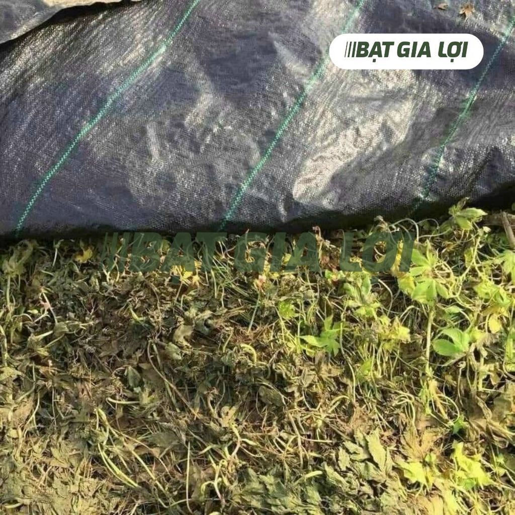 BẠT PHỦ CHỐNG CỎ - GIẢI PHÁP TIẾT KIỆM THỜI GIAN CHO CÔNG VIỆC LÀM VƯỜN