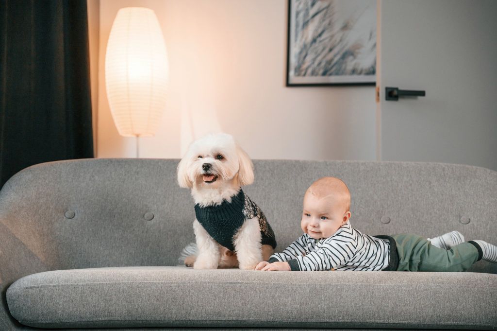 Tip 7+ kinh nghiệm mua ghế sofa bạn cần biết để tránh mua sai