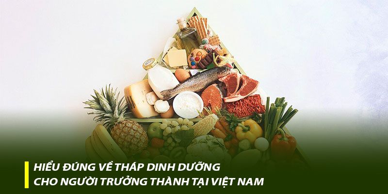 Hiểu đúng về tháp dinh dưỡng cho người trưởng thành tại Việt Nam