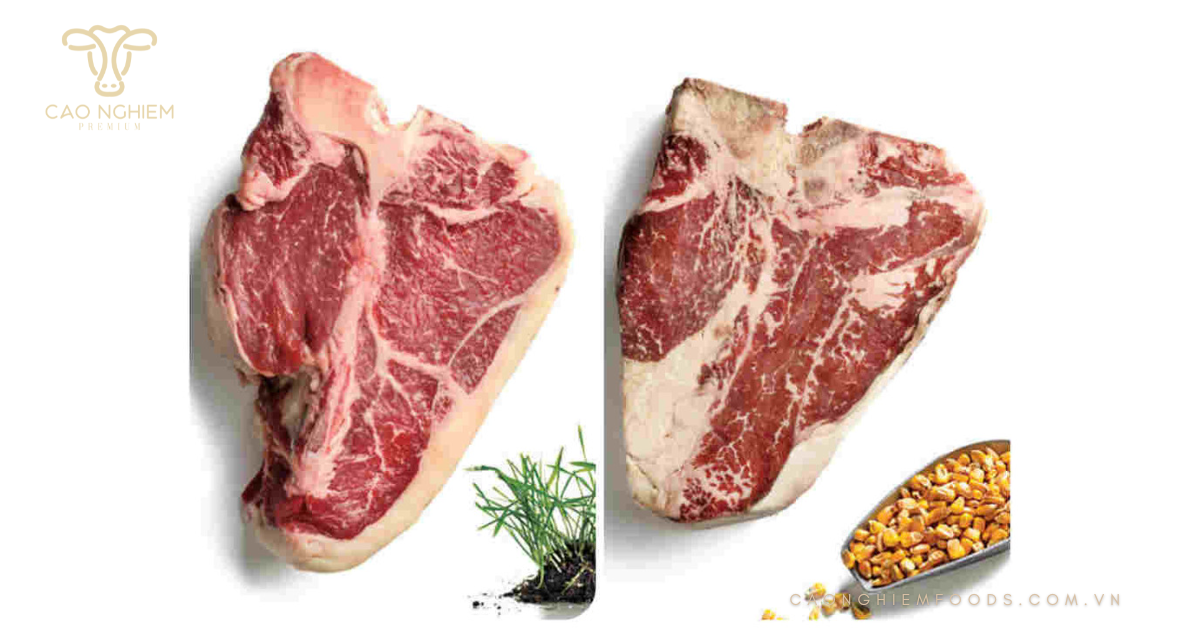 Sự khác biệt trong từng thớ thịt của Grass-fed beef và Grain-fed beef