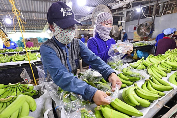 Nông sản giữ vai trụ cột xuất khẩu trong 4 tháng đầu năm