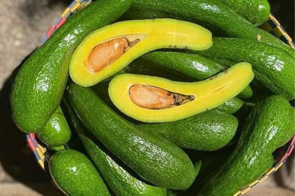 Loại quả phải “giải cứu” nhiều năm, nay giá còn cao hơn sầu riêng