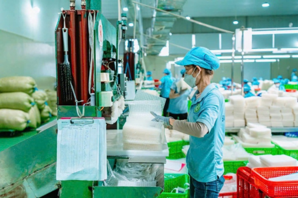 Marketer Hino Nguyễn