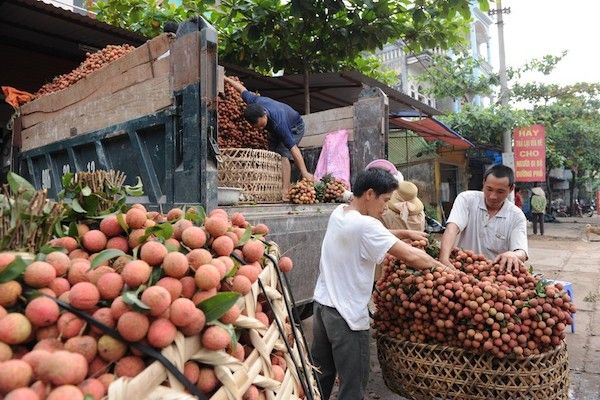 Tiềm năng xuất khẩu nông sản vào thị trường Bắc Âu
