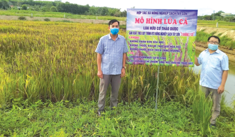 Những điển hình trong nông nghiệp nông thôn