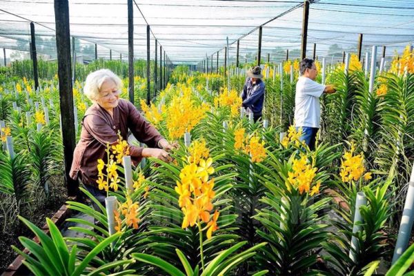 Thay đổi tư duy từ “sản xuất nông nghiệp” sang tư duy “kinh tế nông nghiệp”