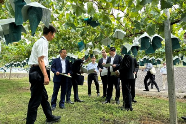 Thúc đẩy hợp tác giữa Hội Nông dân Việt Nam và tỉnh Yamanashi của Nhật Bản