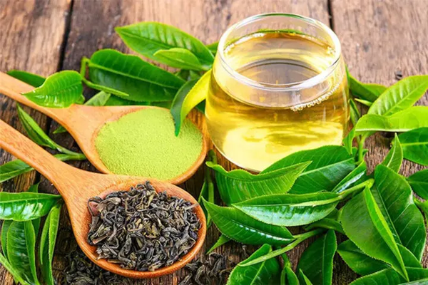 cách hết gàu cho nam với lá trà xanh