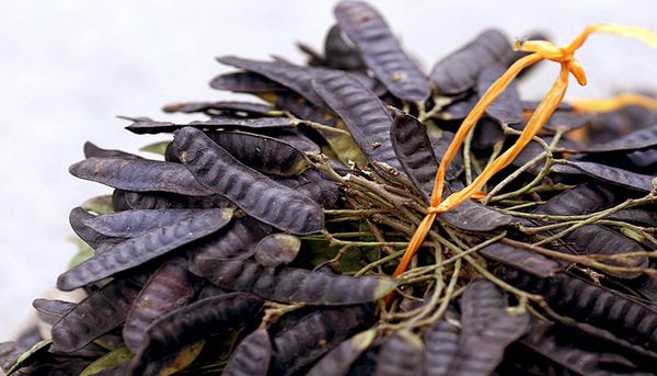 Bồ kết giúp chị em có mái tóc óng mượt