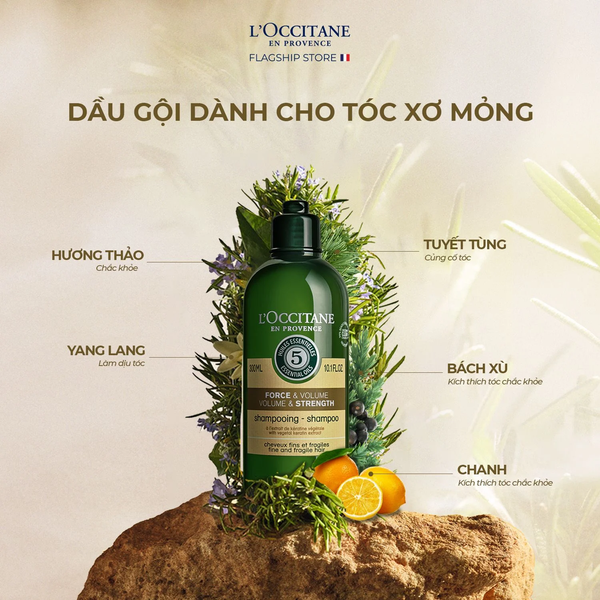 Dầu gội cho tóc nhuộm