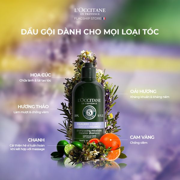 dầu gội dưỡng ẩm tốt