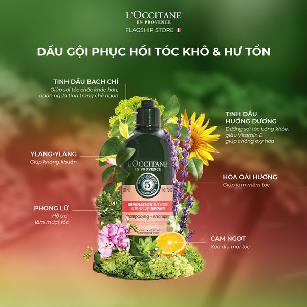 dầu gội dưỡng ẩm tốt