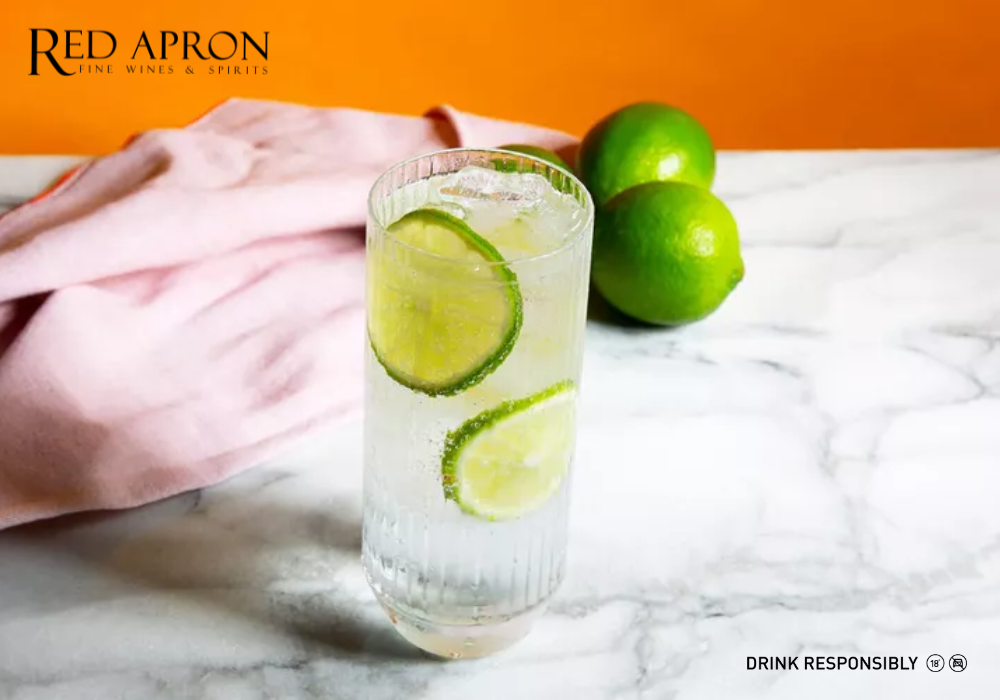 Gin and Tonic – the most iconic and simple gin cocktail