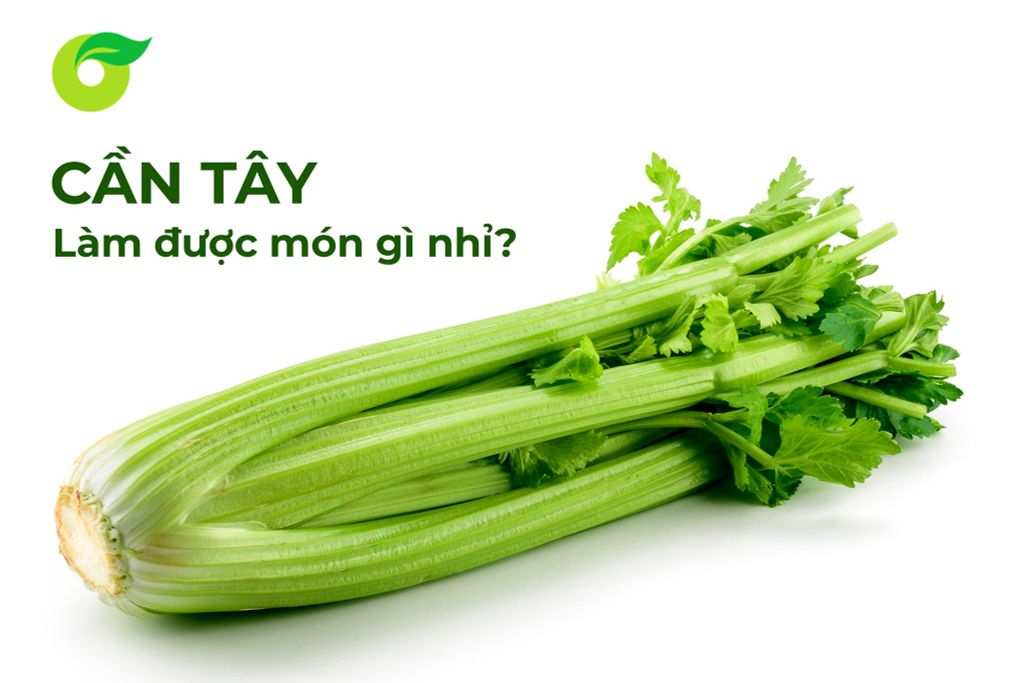 CẦN TÂY LÀM ĐƯỢC MÓN GÌ NHỈ?