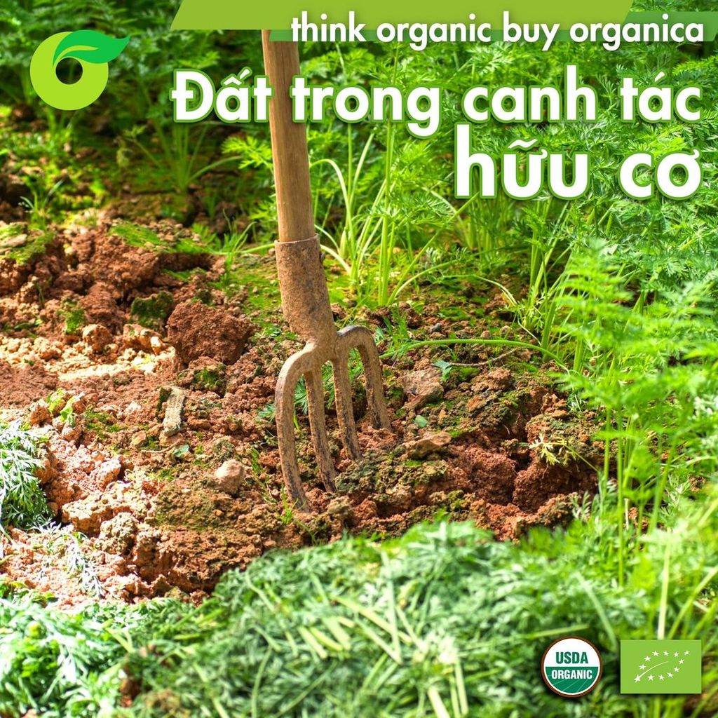 ĐẤT TRONG CANH TÁC HỮU CƠ