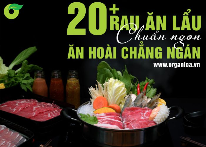 20+ rau ăn lẩu “chuẩn ngon”, ăn hoài chẳng ngán