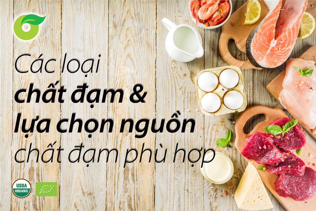 CÁC LOẠI CHẤT ĐẠM VÀ CHỌN NGUỒN CHẤT ĐẠM PHÙ HỢP