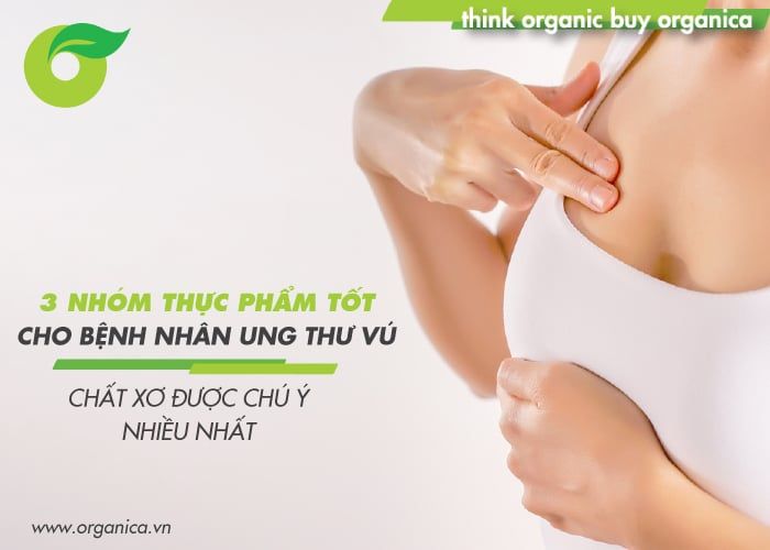 3 nhóm thực phẩm tốt cho bệnh nhân ung thư vú: Chất xơ được chú ý nhiều nhất