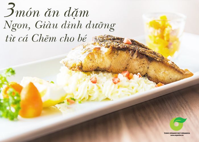 3 món ăn dặm ngon, giàu dinh dưỡng từ cá chẽm cho bé