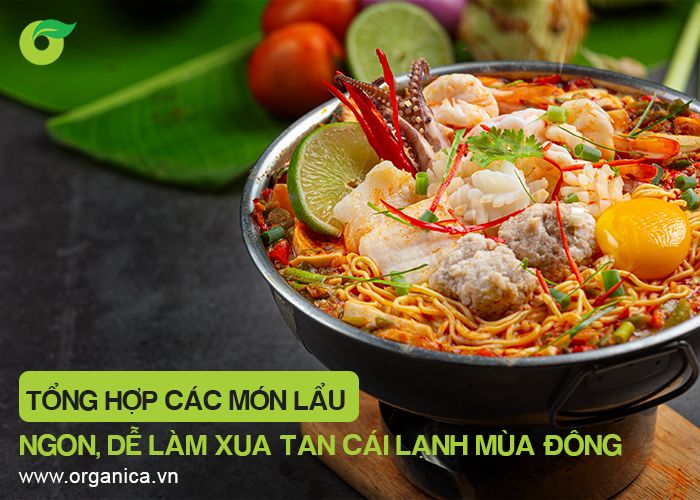 Tổng hợp các món lẩu ngon, dễ làm xua tan cái lạnh mùa đông