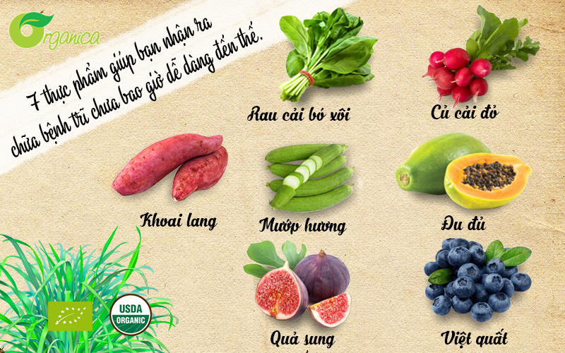 7 thực phẩm giúp bạn nhận ra chữa bệnh trĩ chưa bao giờ dễ dàng đến thế.