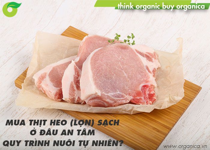 Mua thịt heo (lợn) sạch ở đâu an tâm, quy trình nuôi tự nhiên?