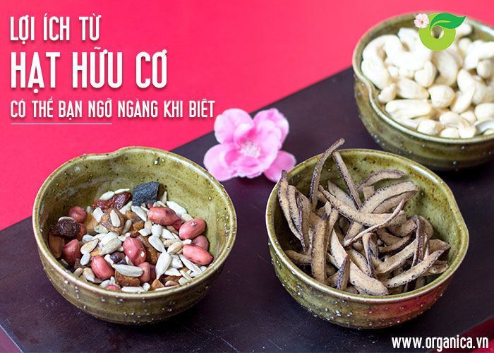 Lợi ích từ hạt hữu cơ cho dịp tết dinh dưỡng an toàn cho sức khỏe