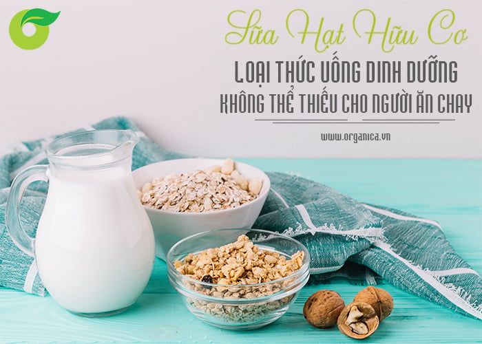 Sữa hạt hữu cơ, loại thức uống dinh dưỡng không thể thiếu cho người ăn chay