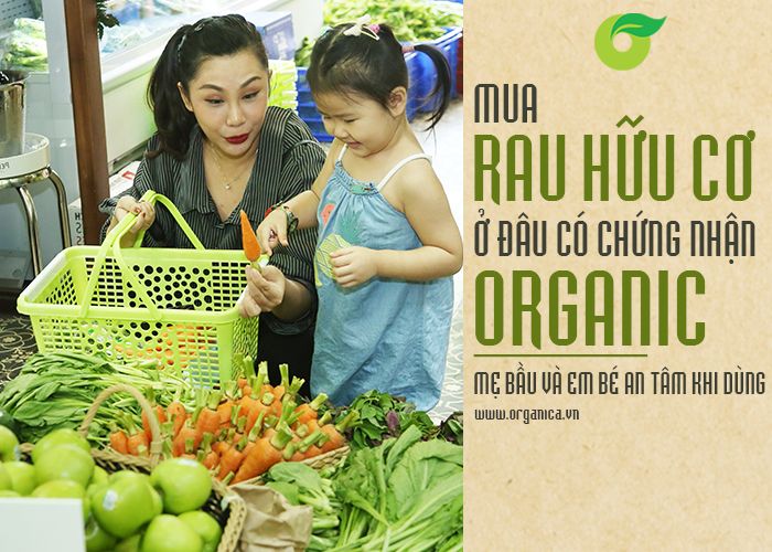 Mua rau hữu cơ ở đâu có chứng nhận organic, mẹ bầu và em bé an tâm khi dùng