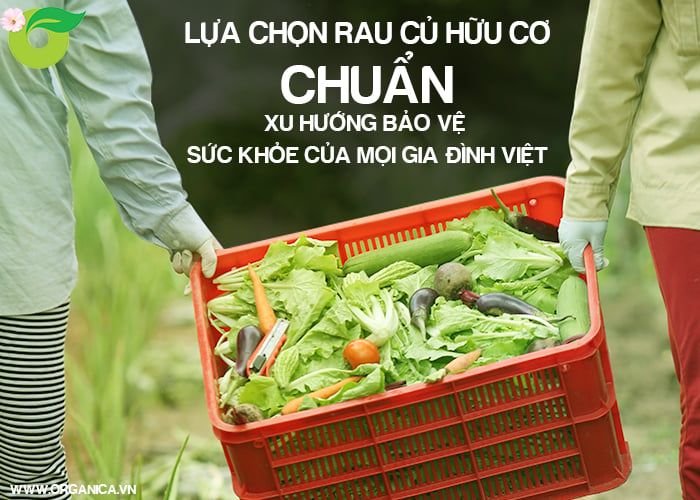 Lựa chọn rau củ hữu cơ chuẩn, xu hướng bảo vệ sức khỏe của mọi gia đình Việt