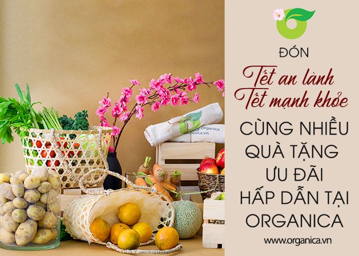 ĐÓN TẾT AN LÀNH -TẾT MẠNH KHỎE CÙNG NHIỀU QUÀ TẶNG, ƯU ĐÃI HẤP DẪN TẠI ORGANICA
