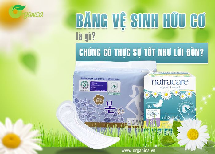 Băng vệ sinh hữu cơ là gì? Chúng có thực sự tốt như lời đồn?
