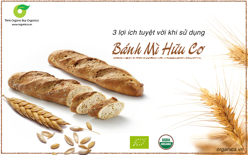 3 lợi ích tuyệt vời khi sử dụng bánh mì hữu cơ bạn nên biết