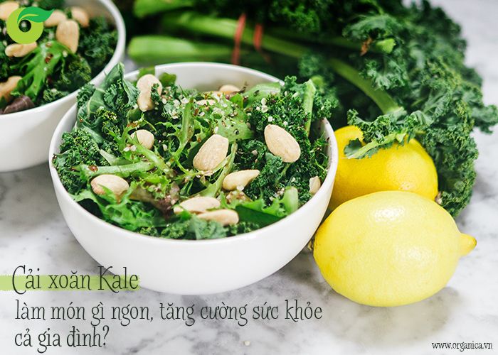 Cải xoăn Kale làm món gì ngon, tăng cường sức khỏe cả gia đình?