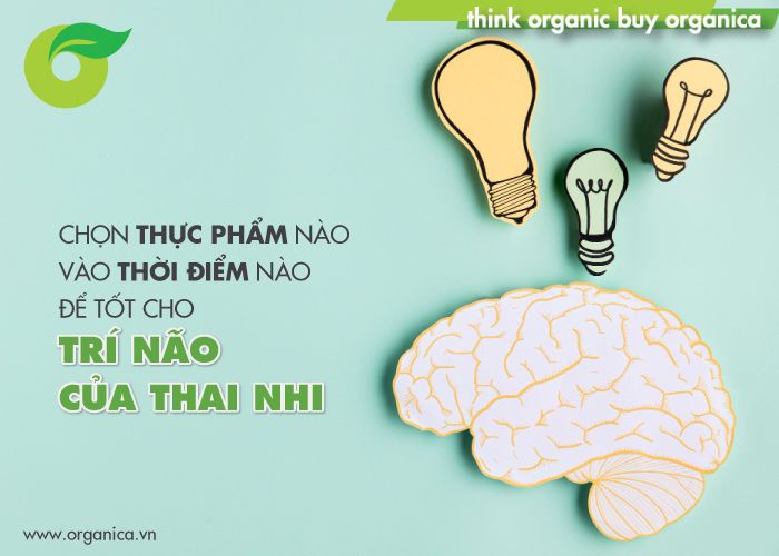 Chọn thực phẩm nào vào thời điểm nào để tốt cho trí não của thai nhi