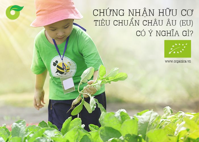 Chứng nhận hữu cơ tiêu chuẩn châu Âu (EU) có ý nghĩa gì?