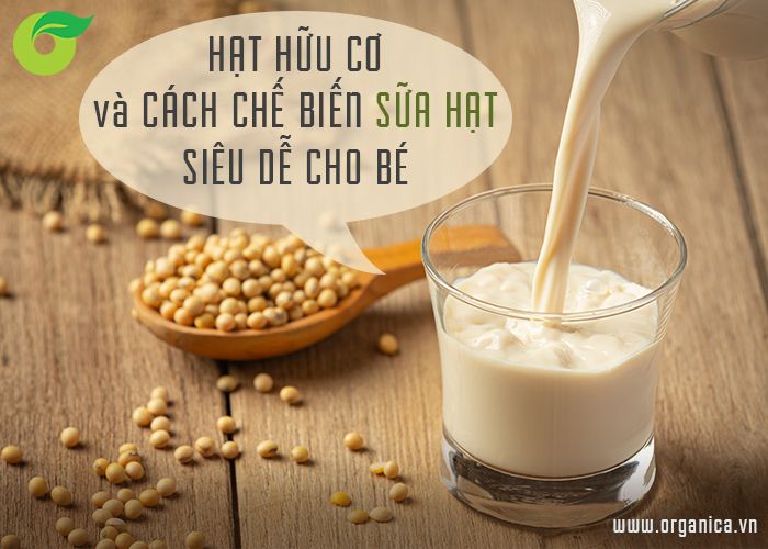 Hạt hữu cơ và cách chế biến sữa hạt siêu dễ cho bé
