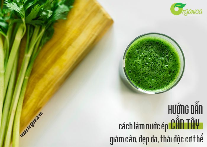 Hướng dẫn cách làm nước ép cần tây giảm cân, đẹp da, thải độc cơ thể