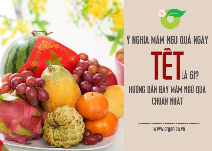 Ý nghĩa mâm ngũ quả ngày tết là gì? hướng dẫn bày mâm ngũ quả chẩn nhất