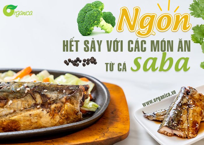 Ngon hết sảy với 5 món ăn từ cá saba