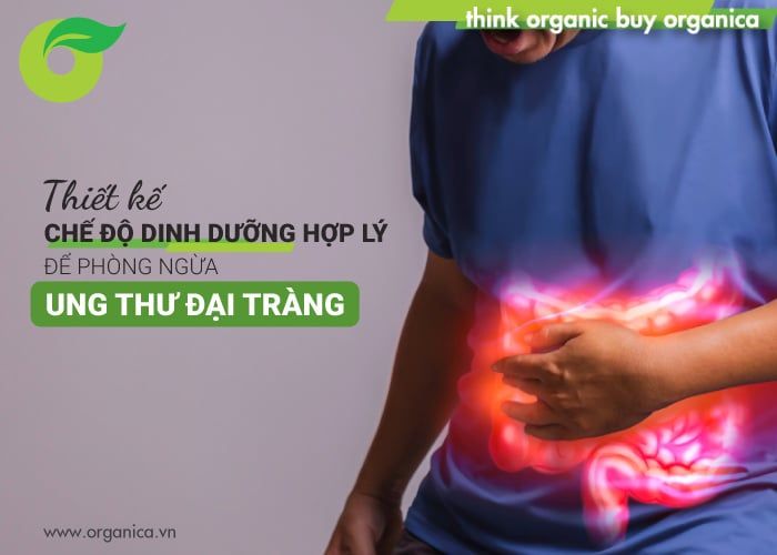 Thiết kế chế độ dinh dưỡng hợp lý để phòng ngừa ung thư đại tràng