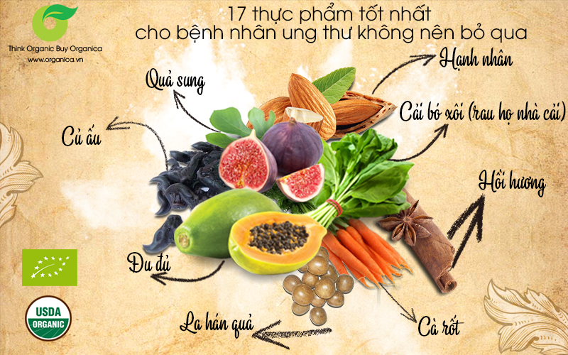17 thực phẩm tốt nhất cho bệnh nhân ung thư không nên bỏ qua