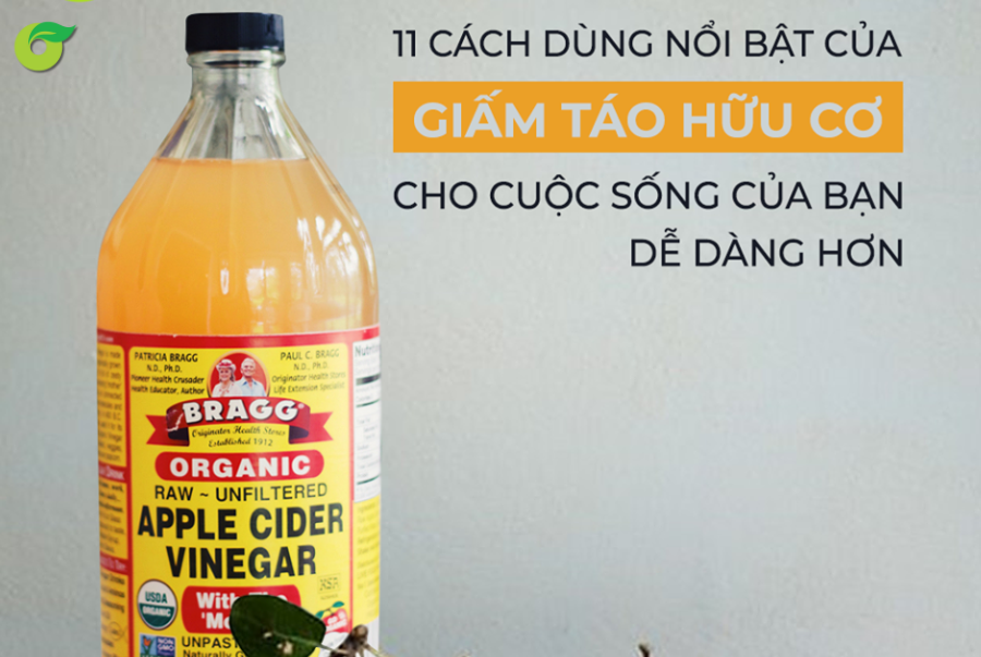 11 CÁCH DÙNG GIẤM TÁO HỮU CƠ CHO CUỘC SỐNG CỦA BẠN DỄ DÀNG HƠN