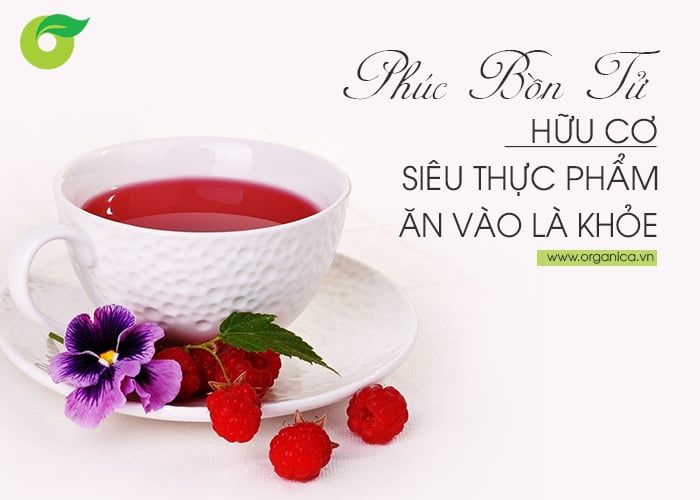 Phúc bồn tử hữu cơ - Siêu thực phẩm “ăn vào là khỏe”