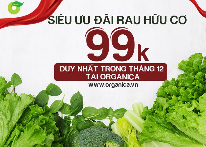 SIÊU ƯU ĐÃI RAU HỮU CƠ 99K - DUY NHẤT TRONG THÁNG 12 TẠI ORGANICA