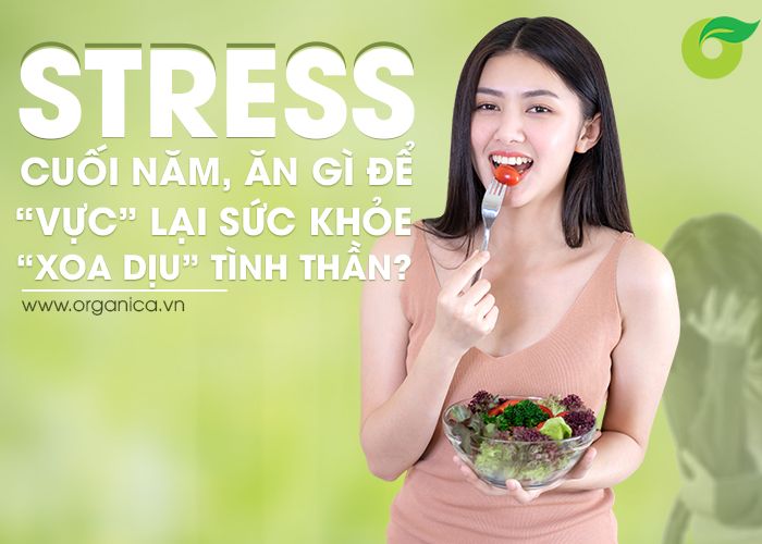 Stress cuối năm, ăn gì để “vực” lại sức khỏe, “xoa dịu” tinh thần?
