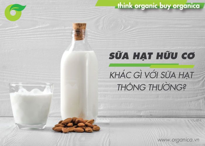Sữa hạt hữu cơ khác gì với sữa hạt thông thường?