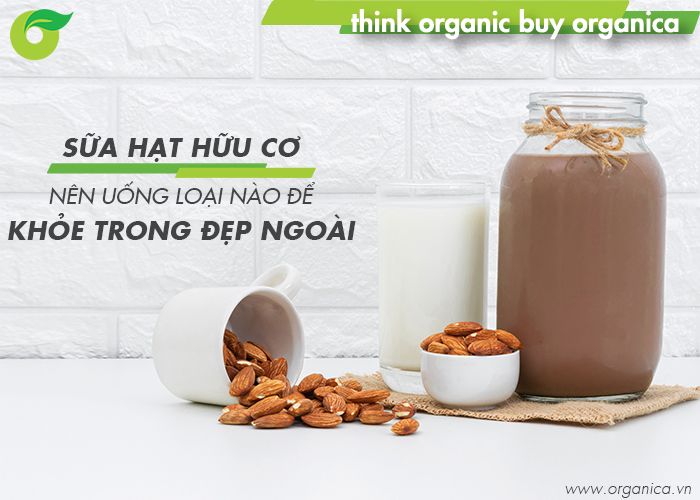 Sữa hạt hữu cơ nên uống loại nào để khỏe trong đẹp ngoài