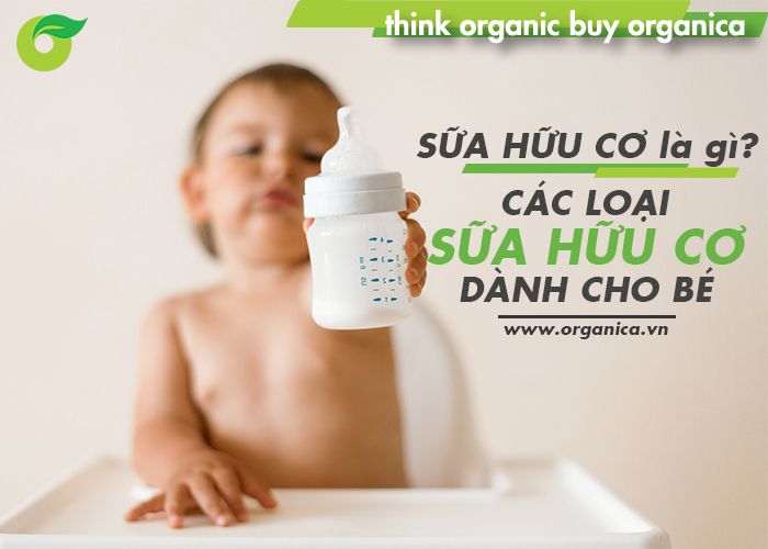 Sữa hữu cơ (Organic) là gì? Các loại sữa hữu cơ cho bé