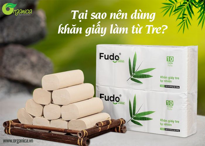 Tại sao nên dùng khăn giấy làm từ tre?